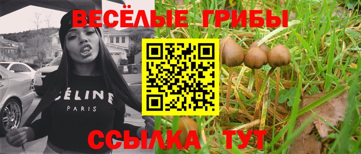 Галлюциногенные грибы мухоморы  Галлюциногенные грибы прущие грибы  купить наркотики сайты  Вход с VPN  Кирово-Чепецк 