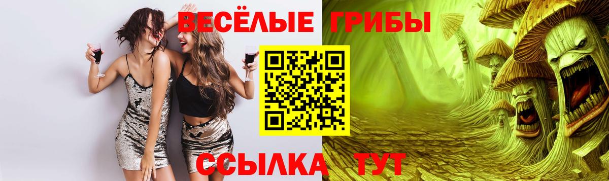 Псилоцибиновые грибы мицелий Кирово-Чепецк